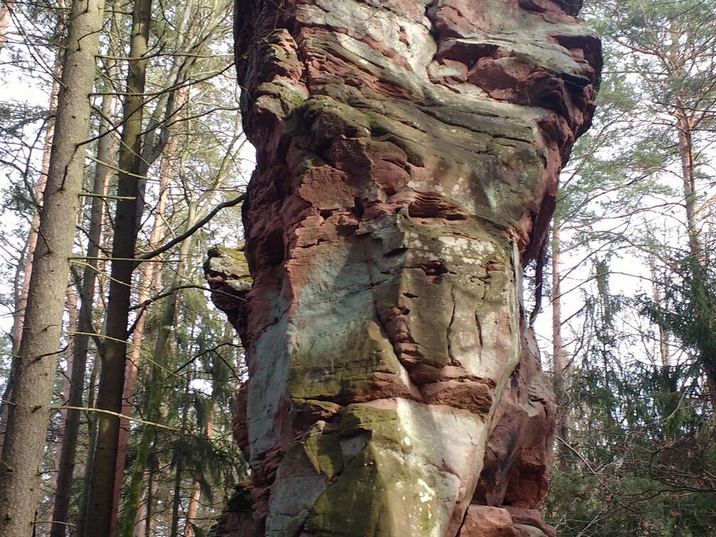 IMG 20190116 133011441